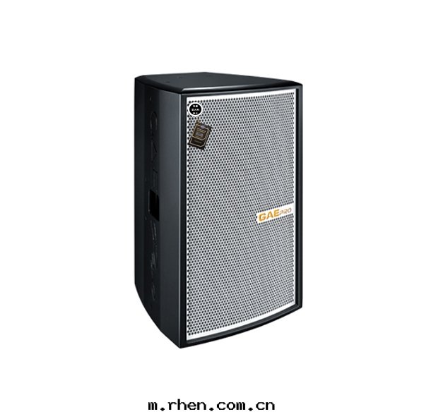 【SN-12】12寸(cùn)全(quán)頻揚聲器音(yīn)箱