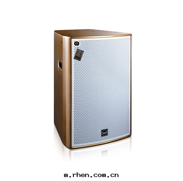 【TN-12】12寸(cùn)全(quán)頻揚聲器音(yīn)箱