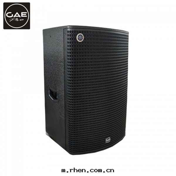 【TQ-15】15寸(cùn)两(liǎng)分(fēn)頻揚聲器音(yīn)箱