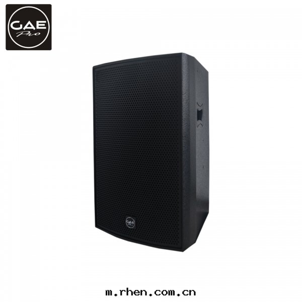 【TX-12】12寸(cùn)两(liǎng)分(fēn)頻揚聲器音(yīn)箱