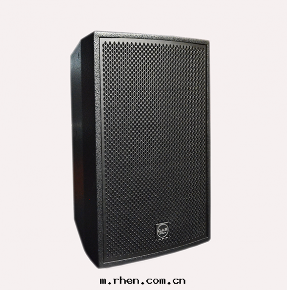 【TS-10】10寸(cùn)全(quán)頻揚聲器音(yīn)箱